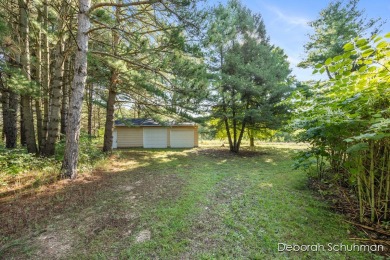 Lake Acreage For Sale in Sand Lake, Michigan