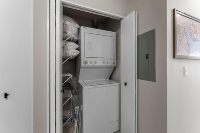 Rare North Loop townhome-style condo with private entry and - photo 18