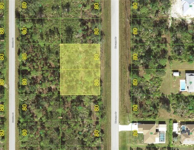 Port Charlotte Waterway Area Lot For Sale in Port Charlotte Florida