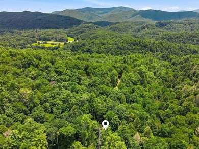 Welcome to your mountain retreat in the highly sought-after - photo 49