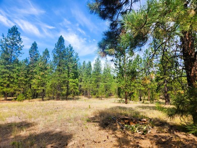 Lake Roosevelt Acreage For Sale in Kettle Falls Washington