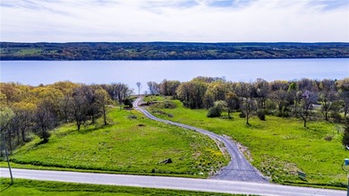Seneca Lake Lot For Sale in Dundee New York