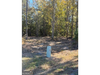 LOOKING FOR A GREAT, QUIET LOT TO BUILD YOUR NEXT HOME - photo 1