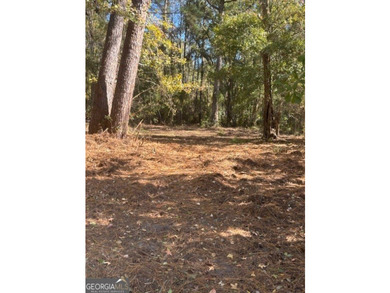 LOOKING FOR A GREAT, QUIET LOT TO BUILD YOUR NEXT HOME - photo 2