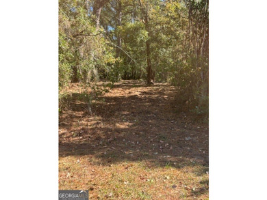 LOOKING FOR A GREAT, QUIET LOT TO BUILD YOUR NEXT HOME - photo 3