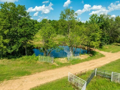 Ultimate Ozark Riverfront Retreat - 200+- Acres with Barn, Arena