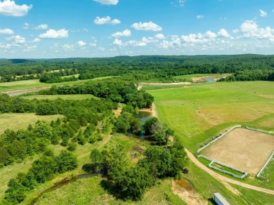 Ultimate Ozark Riverfront Retreat - 200+- Acres with Barn, Arena