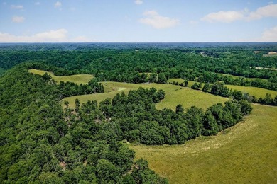 ACREAGE!!!!! Located on 122.34 acres, this home has 1875+/-sqft - photo 31
