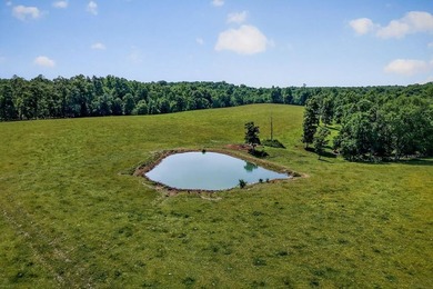ACREAGE!!!!! Located on 122.34 acres, this home has 1875+/-sqft - photo 32