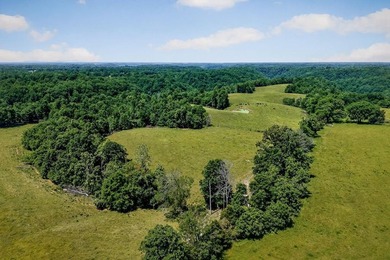 ACREAGE!!!!! Located on 122.34 acres, this home has 1875+/-sqft - photo 33