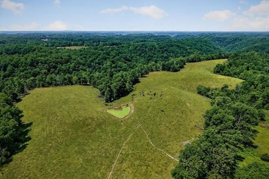 ACREAGE!!!!! Located on 122.34 acres, this home has 1875+/-sqft - photo 34