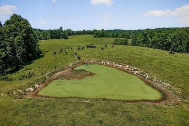 ACREAGE!!!!! Located on 122.34 acres, this home has 1875+/-sqft - photo 35