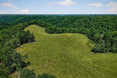 ACREAGE!!!!! Located on 122.34 acres, this home has 1875+/-sqft - photo 36