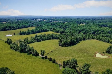 ACREAGE!!!!! Located on 122.34 acres, this home has 1875+/-sqft - photo 41