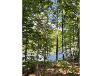 Lake Lot For Sale in Trenton, Tennessee