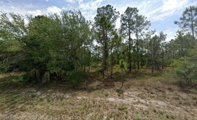 Lehigh Acres Area Lot For Sale in Lehigh Acres Florida