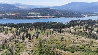 Lake Roosevelt Acreage For Sale in Kettle Falls Washington