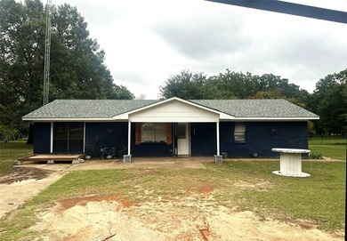 (private lake, pond, creek) Home For Sale in Emory Texas