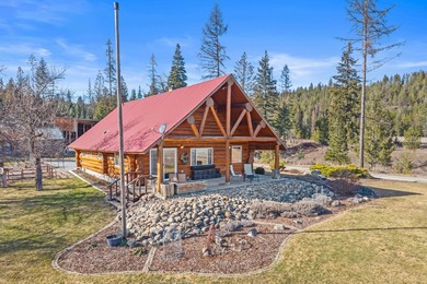 Lake Home For Sale in Newport, Washington