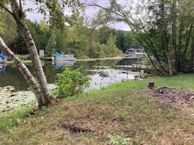 Lake Lot For Sale in Mecosta, Michigan