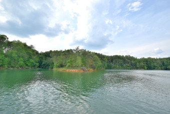 Family Compound Lot - Lake Lot For Sale in Bremen, Alabama