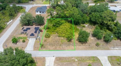 Lehigh Acres Area Lot For Sale in Lehigh Acres Florida