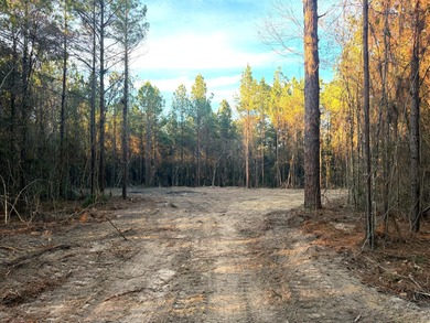 Lake Lot For Sale in Poplarville, Mississippi