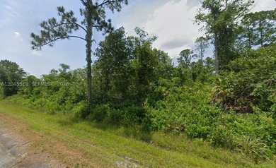 Available Single Family R1 residential lot in SunnLake Golf - photo 3