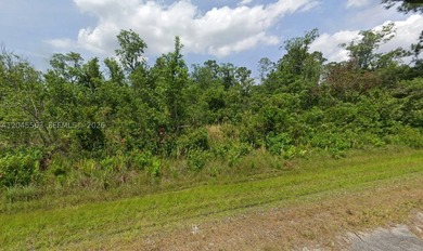 Available Single Family R1 residential lot in SunnLake Golf - photo 4