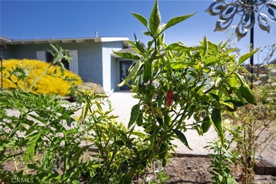 564 Stansbury - photo 10