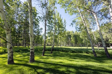 This property spans 7 acres over 3 parcels and hold deep - photo 42