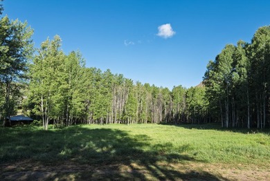 This property spans 7 acres over 3 parcels and hold deep - photo 43