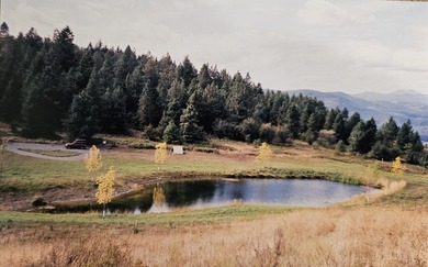 Lake Roosevelt Acreage For Sale in Rice Washington