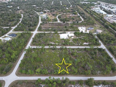 Vacant lot for sale in a growing area near Englewood. Build your - photo 2