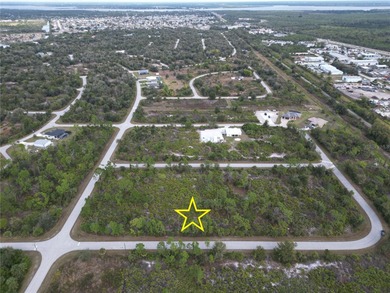 Vacant lot for sale in a growing area near Englewood. Build your - photo 3