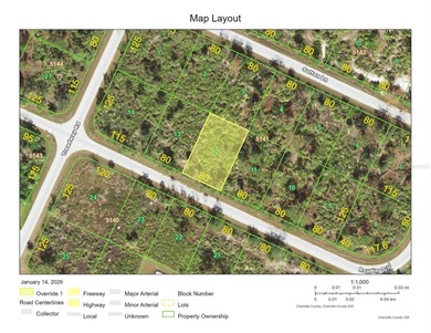 Vacant lot for sale in a growing area near Englewood. Build your - photo 4