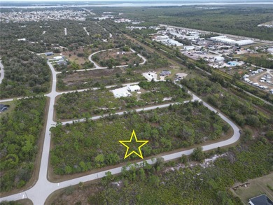 Vacant lot for sale in a growing area near Englewood. Build your - photo 5