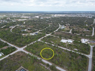 Vacant lot for sale in a growing area near Englewood. Build your - photo 7