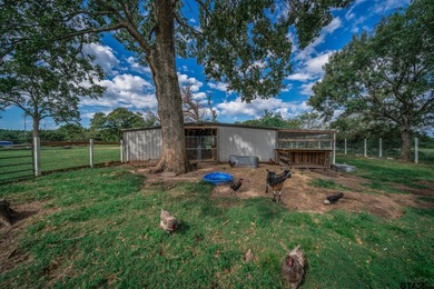 Just minutes from Lake Jacksonville, this beautifully renovated - photo 38