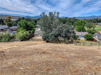Spacious open floor plan home that has been remodeled and ready - photo 50