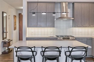 Executive retreat penthouse in downtown Birmingham! Rarely - photo 10