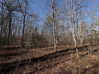 Welcome to peaceful Cumberland Lakes! This beautiful wooded lot - photo 6