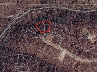 Very buildable double lot with 4 bedroom perc test on .68 acres - photo 1
