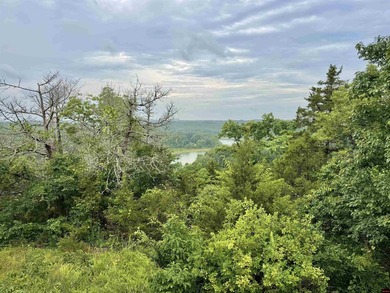 100 acre peninsula property on Norfork Lake, surrounded on 3 - photo 22