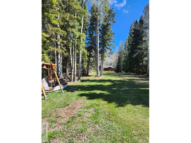 LAKEFRONT LOT & LAKEVIEW CABIN - SHORT TERM RENTALS ALLOWED - - photo 38