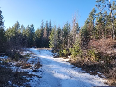 (private lake, pond, coastal) Acreage For Sale in Curlew Washington