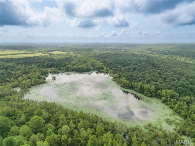 Lake Acreage For Sale in Richwoods, Missouri