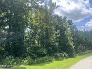 Indian Lake Lot For Sale in Cedar Grove Tennessee