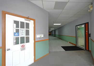 Impressive Investment/Commercial Brick Building in Downtown