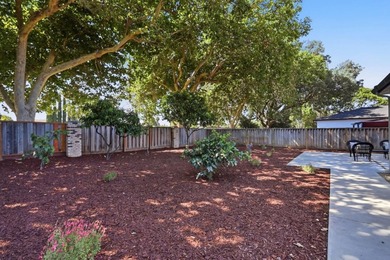 Welcome to Berryessa gem, most desirable Vinci South - photo 36